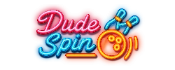 DudeSpin logo